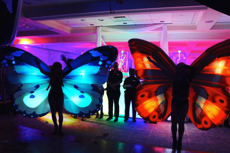 Butterfly Fairies LED