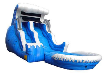 Dolphin Wave Slide With Pool 