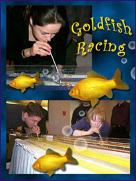 Gold Fish Racing
