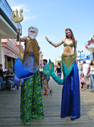 Mermaid Performers 