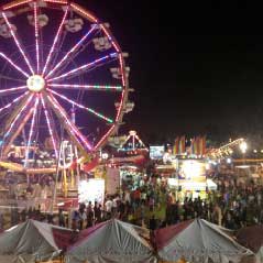 Party rides and carnival game rentals