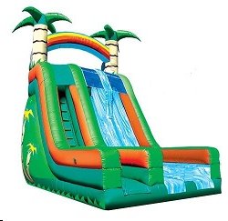 22 Foot Tropical Dual Lane Slide