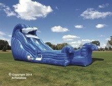 Wild Wave Water Slide 2