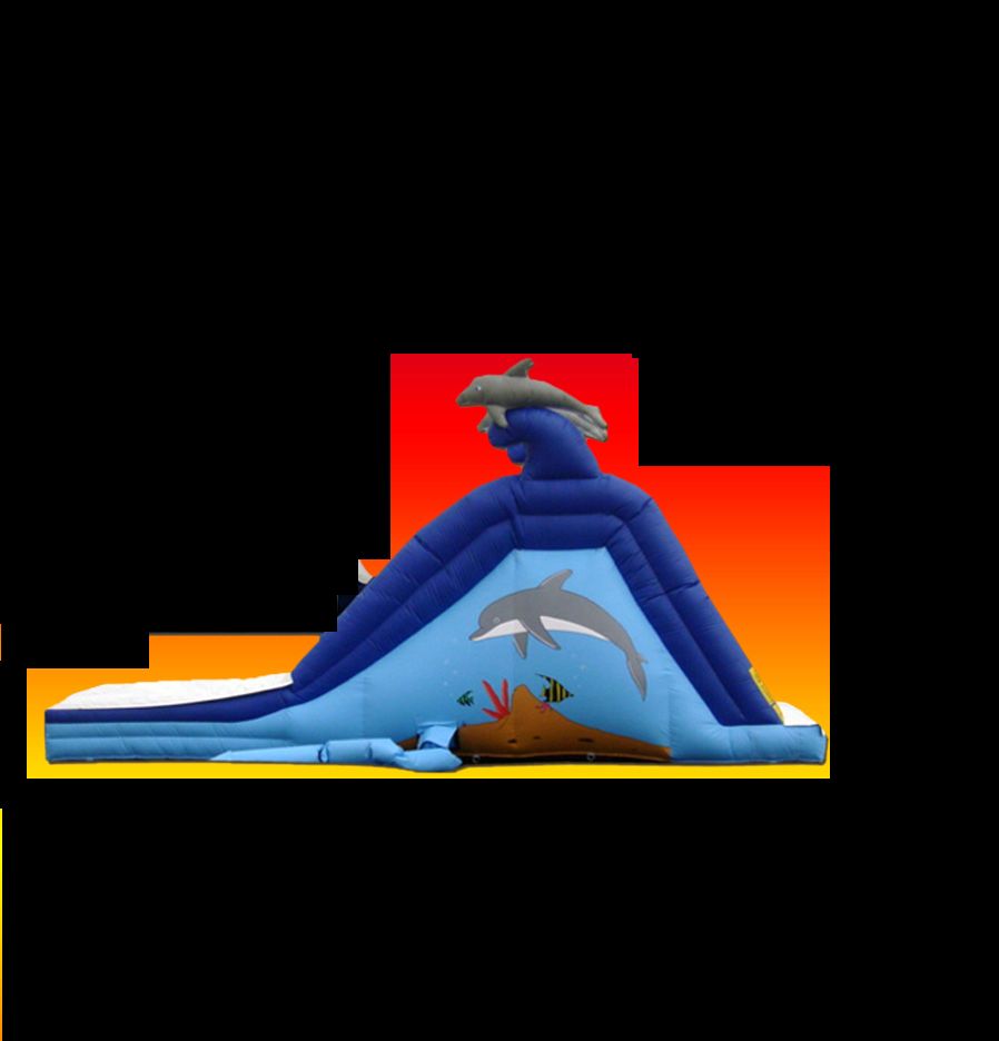 Dolphin Water Slide