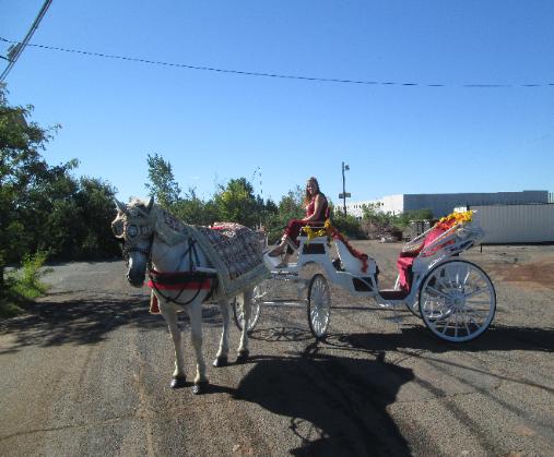Baraat Wedding Horse Rides