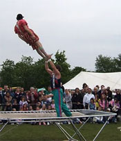 Trampoline Show 