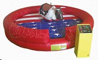 Mechanical Bull