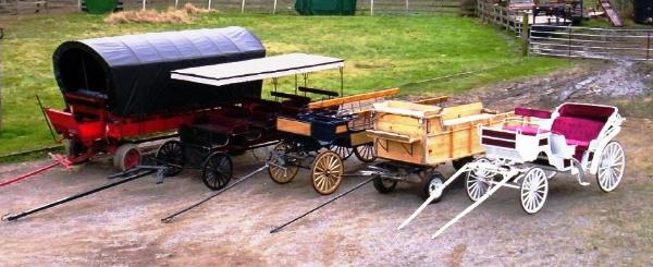 Carriage Rides