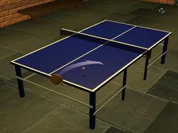 Ping Pong Table