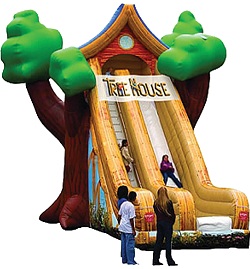 Tree House Slide