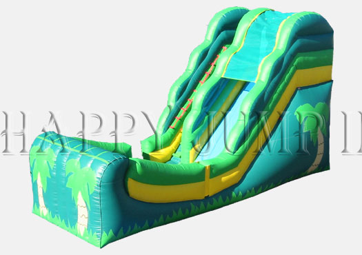 Giant Wet Dry Slide Tropical