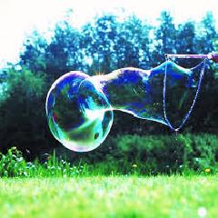 photo thumbnail